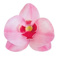 DeKora Wafer Paper Orchideen Rosa 8.5cm, 10 Stück