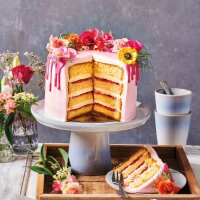 FunCakes Backmischung Biskuit Deluxe 1Kg