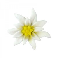 Coximus Silikonform Edelweiss