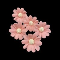 Aneta Dolce Zuckerdekor Adonisröschen Rosa, 5...