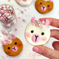 Super Streusel Glitzer Puder Rosa 10g
